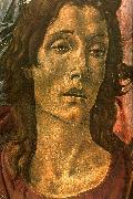 BOTTICELLI, Sandro San Barnaba Altarpiece (detail: head of St John) gdfg Germany oil painting reproduction